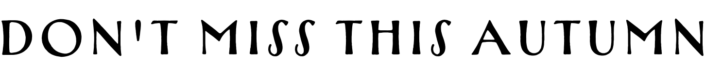 Text sample of font Tomarik Serif Regular