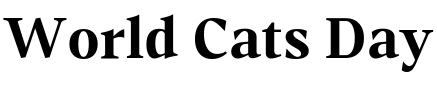 Text sample of Ukrainian font Accia Forte Bold
