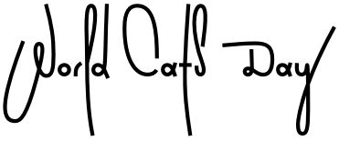 Text sample of Ukrainian font Wild Loops Bold