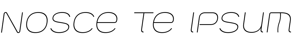 Text sample of Ukrainian font Vanyla 4F Unicase Thin Italic