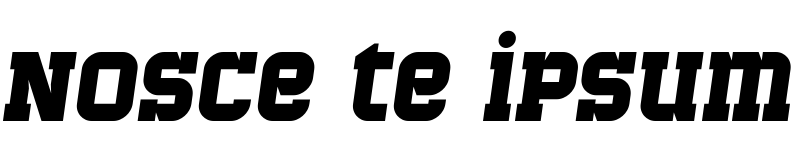 Text sample of Ukrainian font Bladi One Slab 4F Bold Italic
