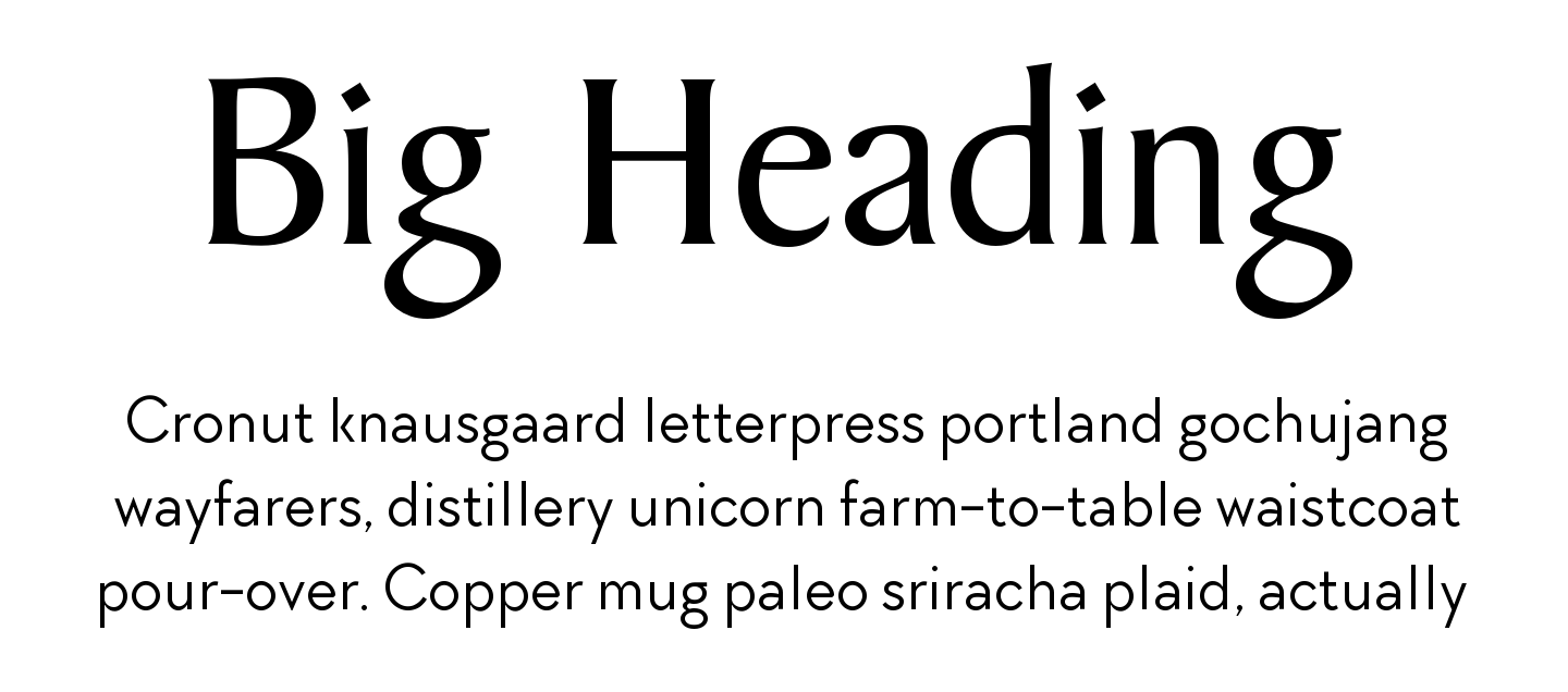 Baker Signet Regular Font For Web Desktop On Rentafont