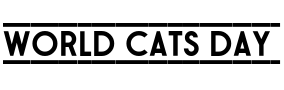 Text sample of Ukrainian font Stereonic M Doubleline